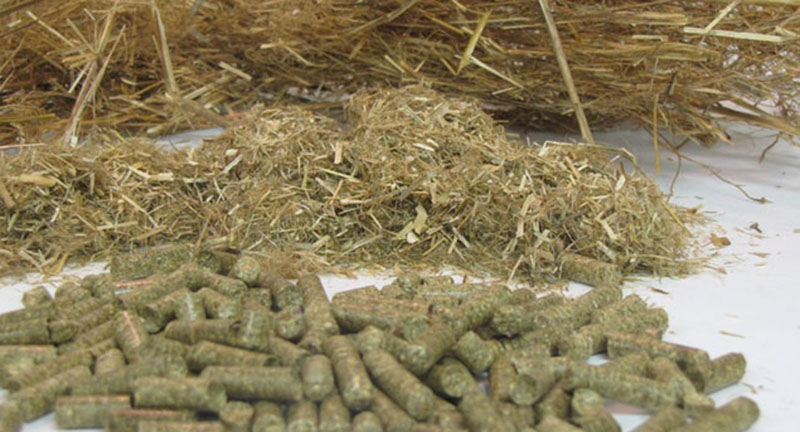 秸稈顆粒機(jī)