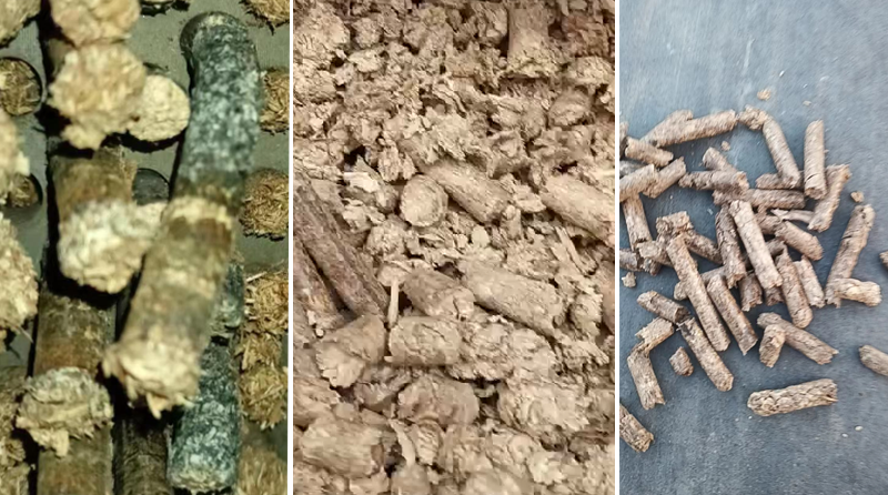 生物質(zhì)顆粒